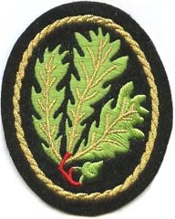 Insignia